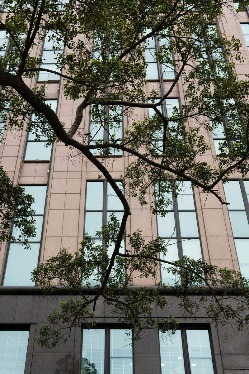 株式会社ネクサスシステムズ